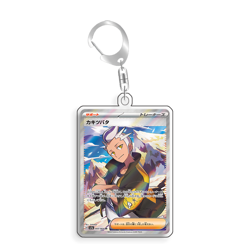 Sanat ekranı Pokemon Drayton k - Anime Merchandise From Japan incelemesi ve fiyatı